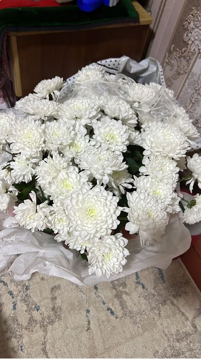 Гулдеееееееер солмаган