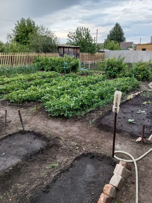 Продам дачу, с/о Эврика