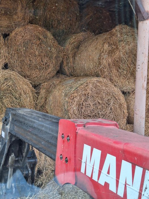 Baloți Lucernă fîn paie de vînzare