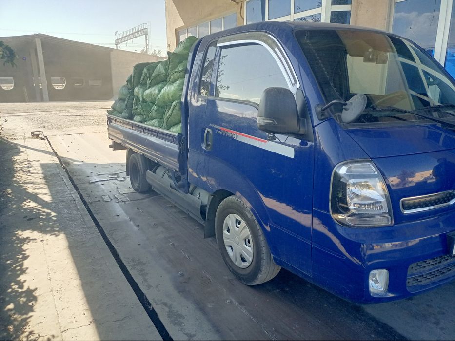 Кумур бор Казок Киргиз Зурии бор Доставка ичида