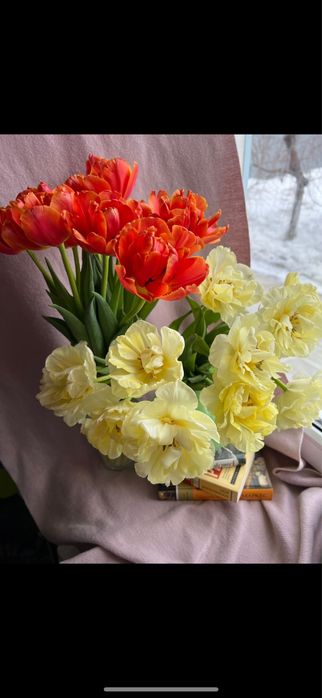 Тюльпаны на 5-6-7-8 марта!