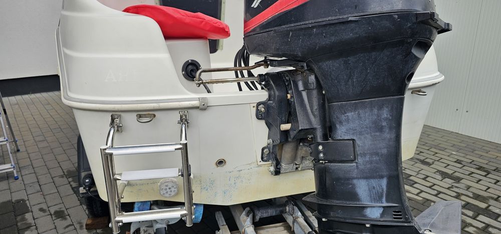 Quicksilver flamingo 420