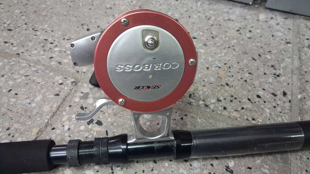 Мултипликатор Cormoran Corboss пръчка Spo 80lbs сом комплект