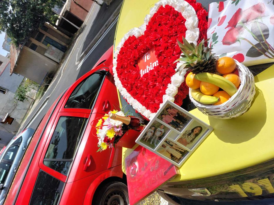 Surprize la Domiciliu Severin