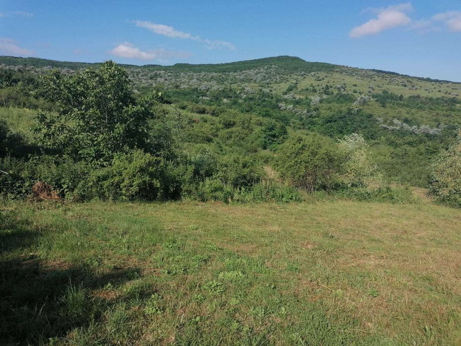 Vanzare Teren Mogosesti (intabulat)