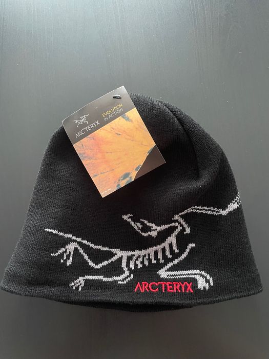 Fesuri Arcteryx.