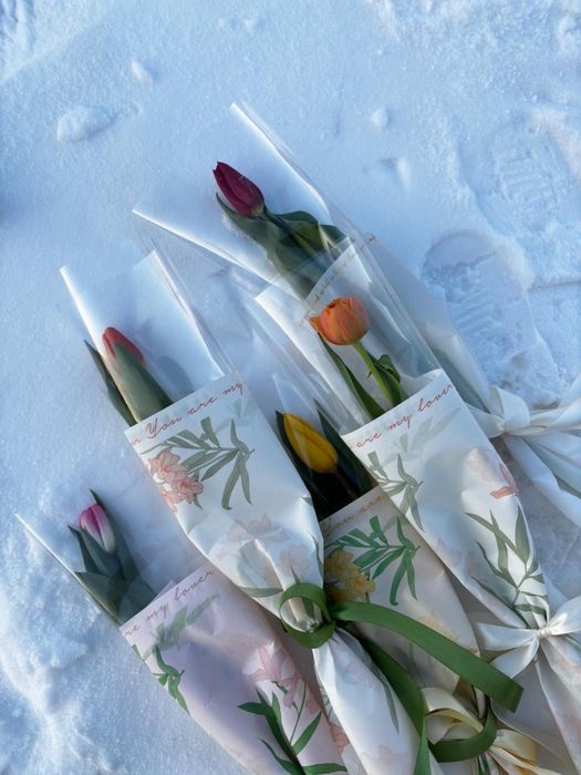 Тюльпаны по 800тг