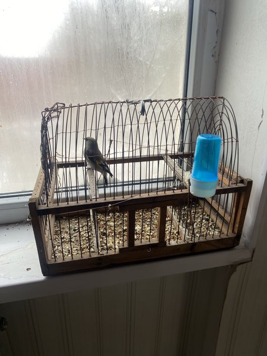 Сатылады 6 мың шымкент