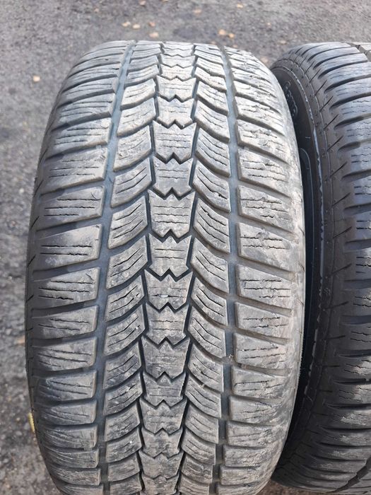Зимни гуми SAVA 225/50/17