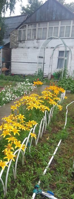 Продам дачу Сад Здоровье