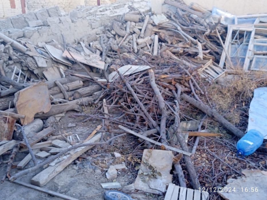 Oʻtin daraxtniki sotiladi