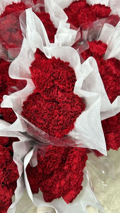 Гвоздики красные