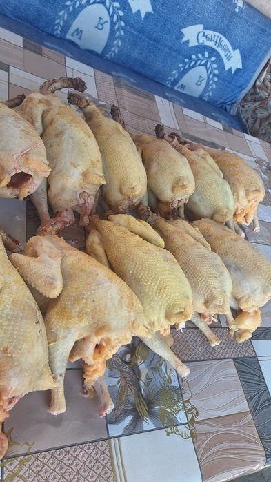 Куры резаные тушки