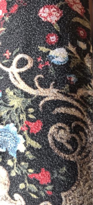 Клин Roberto Cavalli