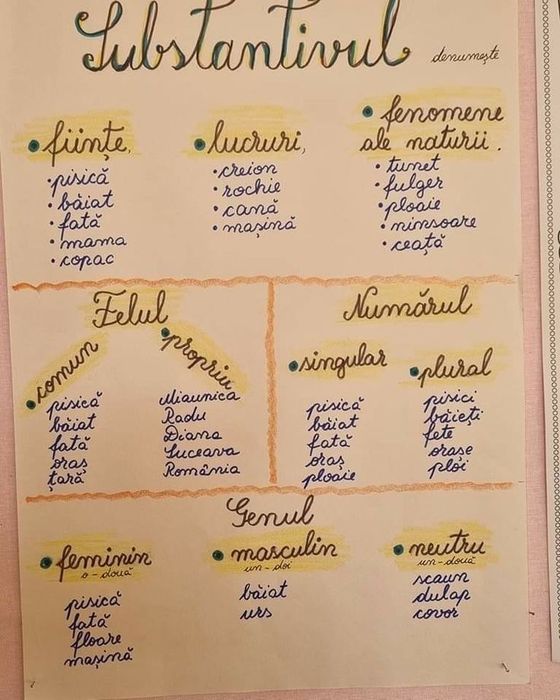 Meditatii lb. romana clasele III-VIII