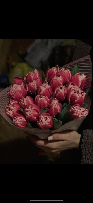 Тюльпаны крупные