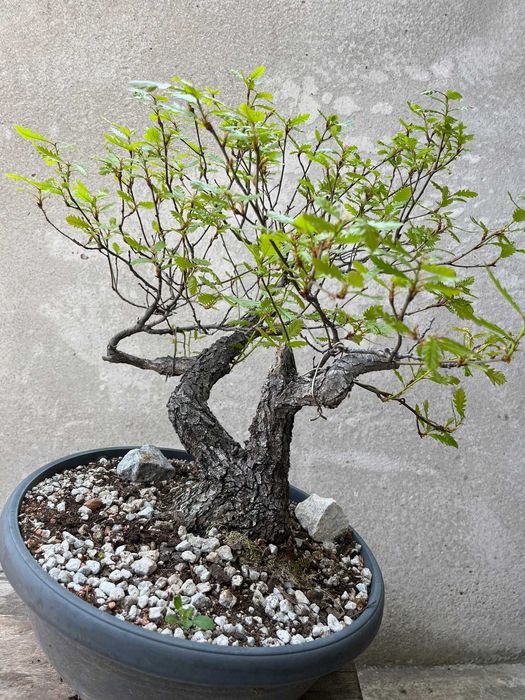 Вулканична Пемза и Лава