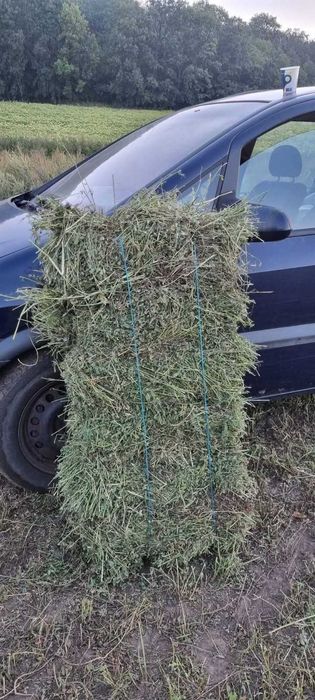 Baloti lucerna coasa a doua