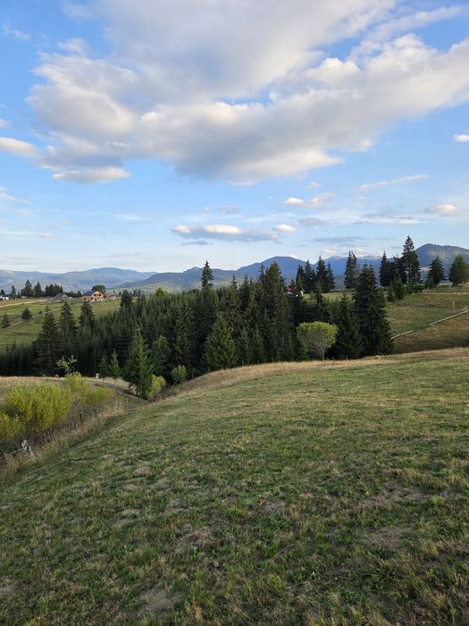Teren Piatra Fântânele pasul Tihuta