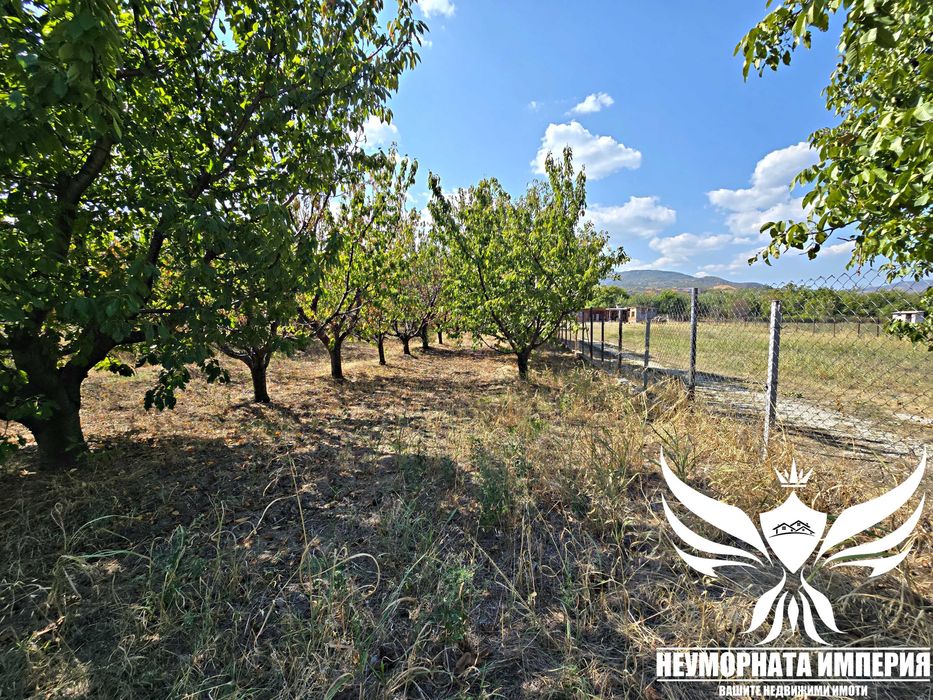 Продава се Парцел в Асеновград - 2250 кв.м за 16 €/кв.м - Снимка #3