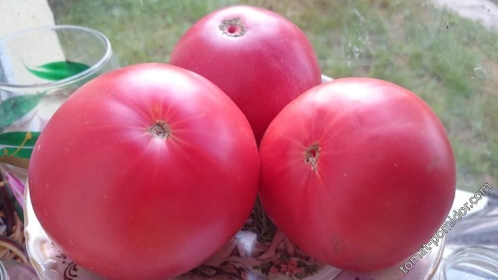 Продам домашние отборные помидоры, кабачки