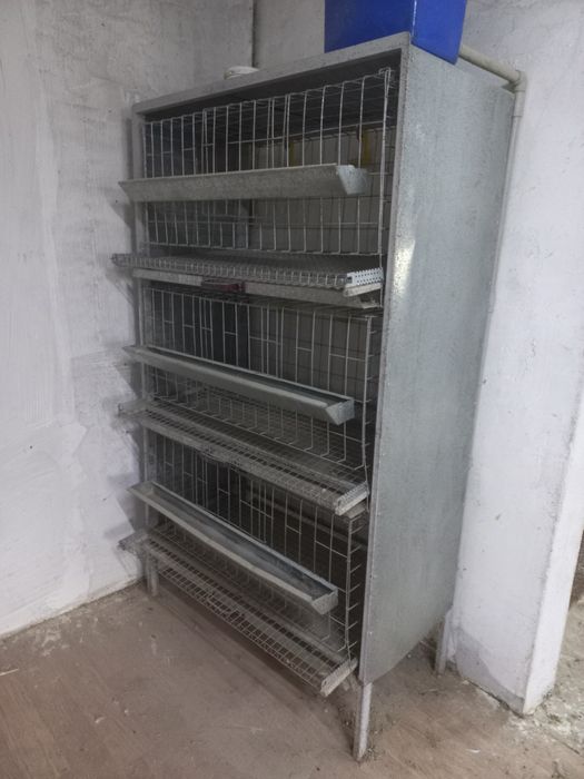 Клетка для содержания курочек