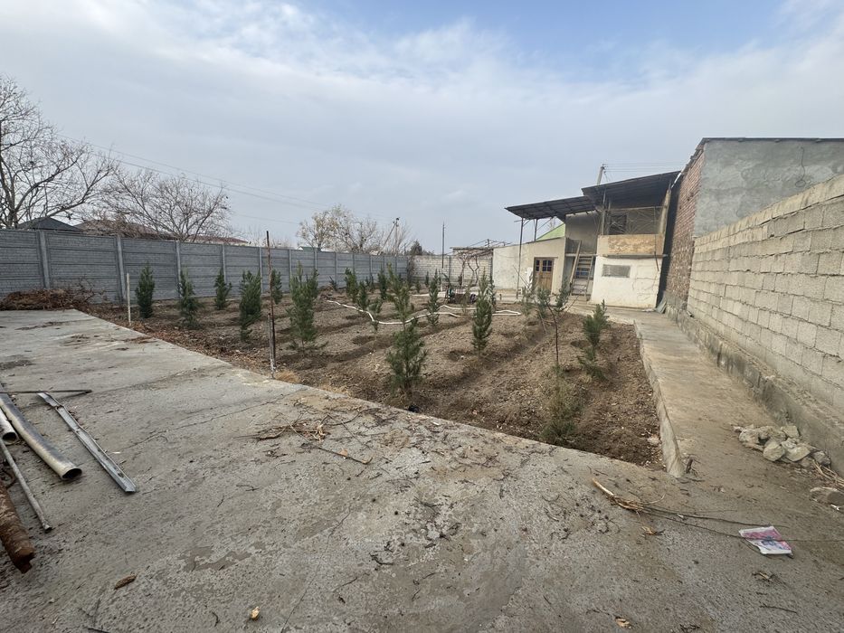 Dala hovli sotiladi. Dacha vasxoddan