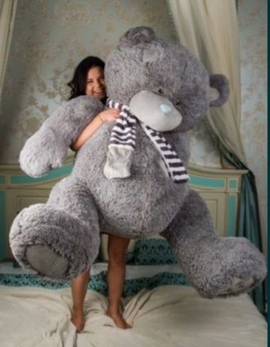 Teddy 1+1 Teddi Bonusiga 100% Orginal Eng Arzon Narxlada