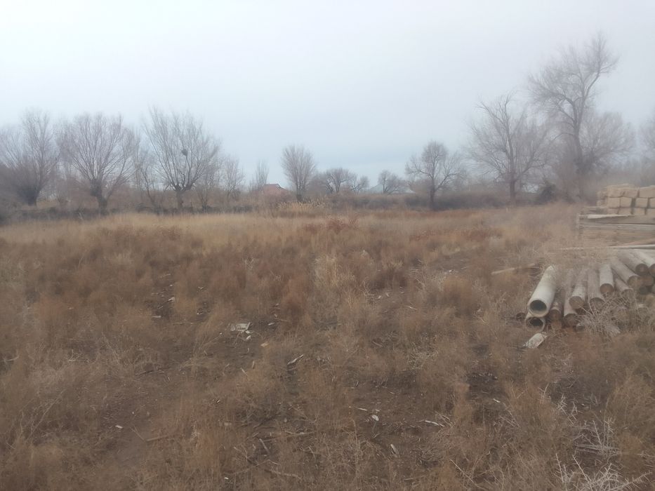 Уй сатылады.Жана уй.