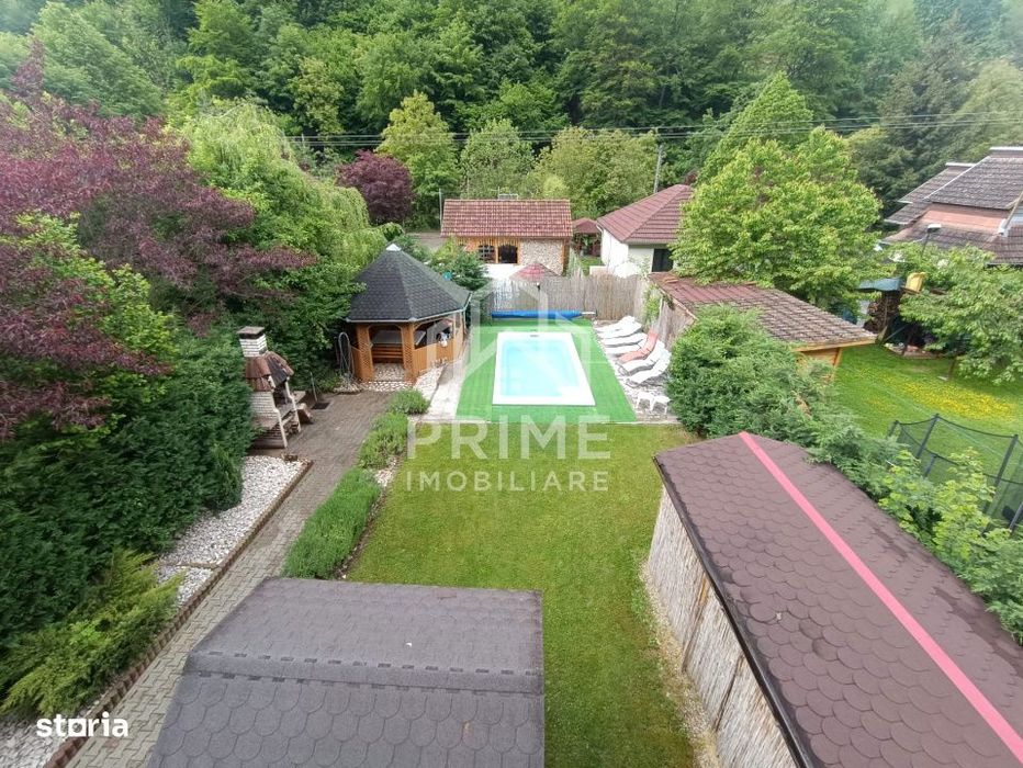 Casa | Cabana premium in Ramet | Piscina | Afacere la cheie | Valea Ma