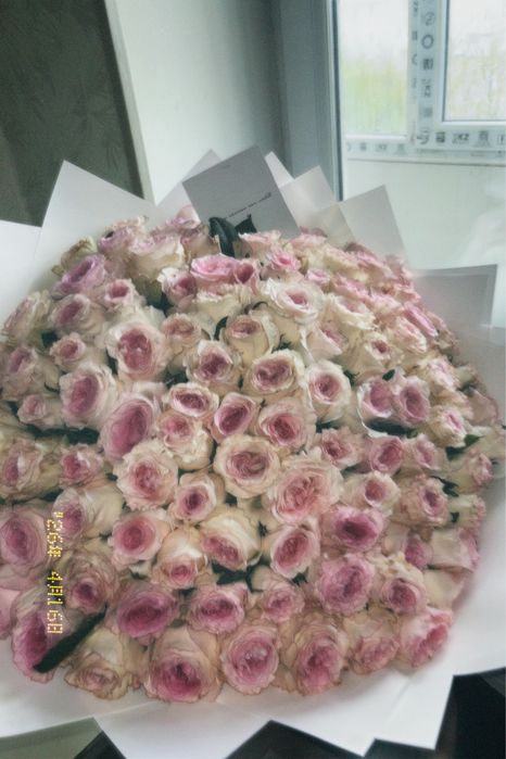 101 роза (запискасымен)