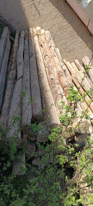 Тахта тусинлар Страпила сотилади