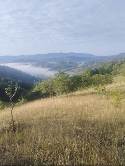 Teren intravilan + casa + cabana + teren Extravilan 1,4Hectare