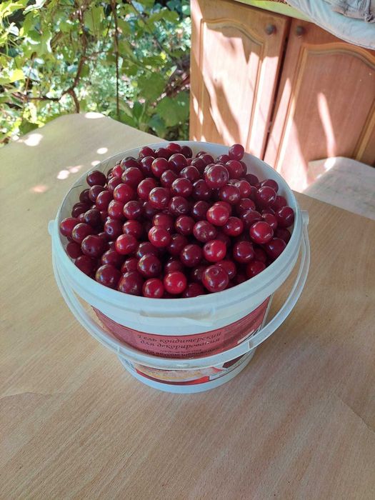 Продам дачу на Айгуле