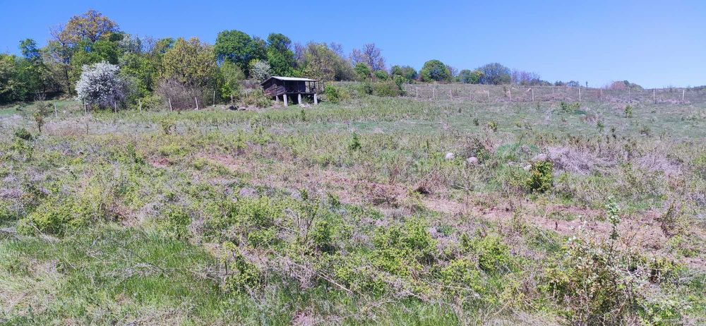 Продава се Земеделски имот в с. Соколяне, Област Кърджали -  кв.м за 510 €/дка - Снимка #5