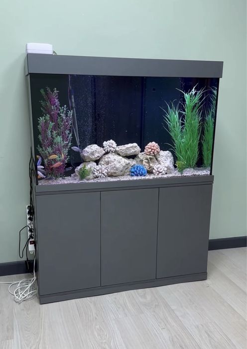 Аквариум на заказ / Akvarium buyurtmaga yashash