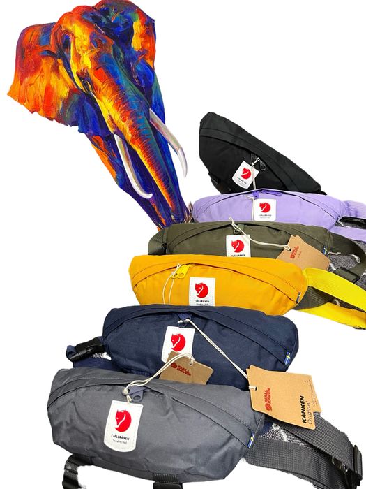 Чанта паласка канкен