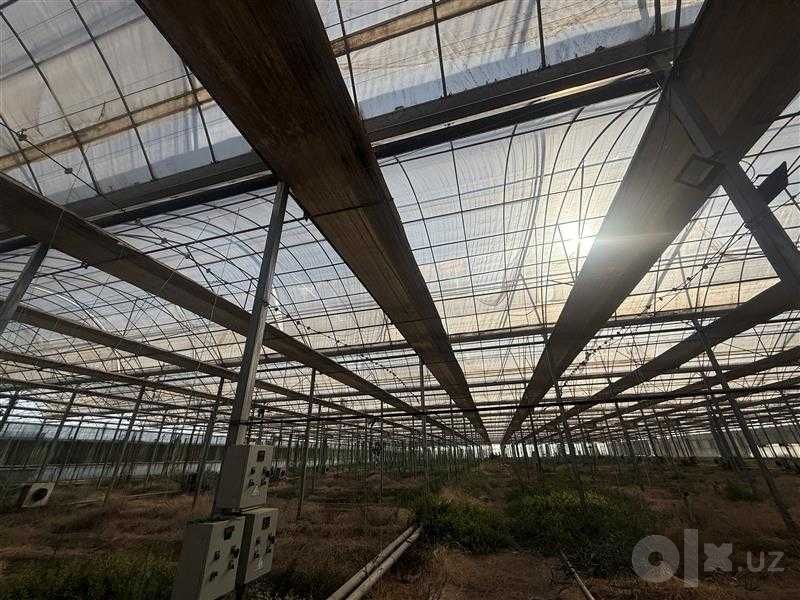 Gidroponika va oddiy usuldagi issiqxona inshoati