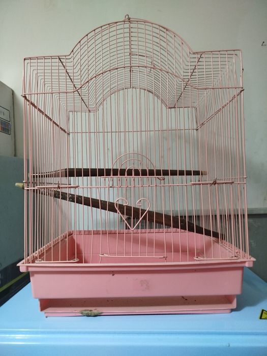 Клетка для птички. Новая