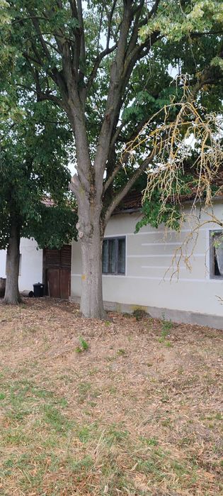 Casa Batraneasca cu teren 4000m2 intravilan