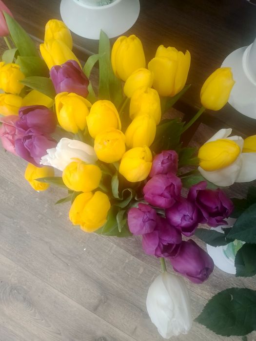 Тюльпаны по предзаказу