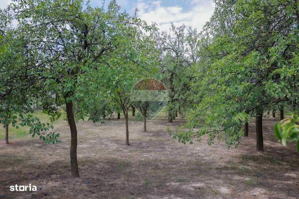 Casă cu 3 camere, complet renovată, teren 8.788 mp, Forosig