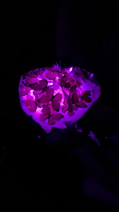 Букет из бабочек Светящийся. Розовый и синий цвет