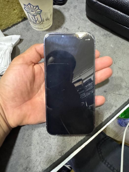 iPhone 13 Pro Max