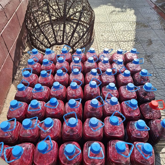 Горная малина на продажу