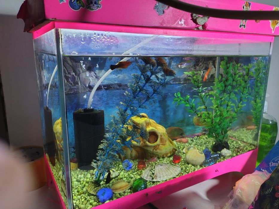 Продам аквариум срочно