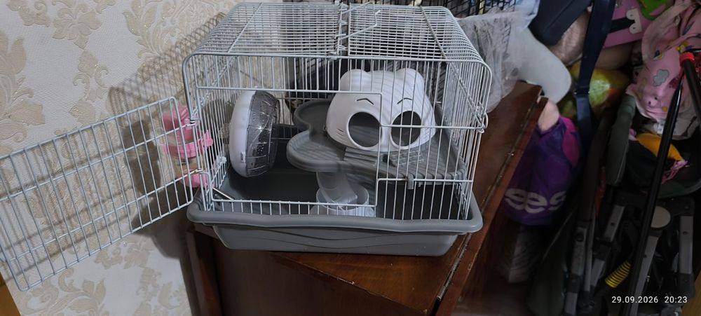 Продам хамяка с клеткой.