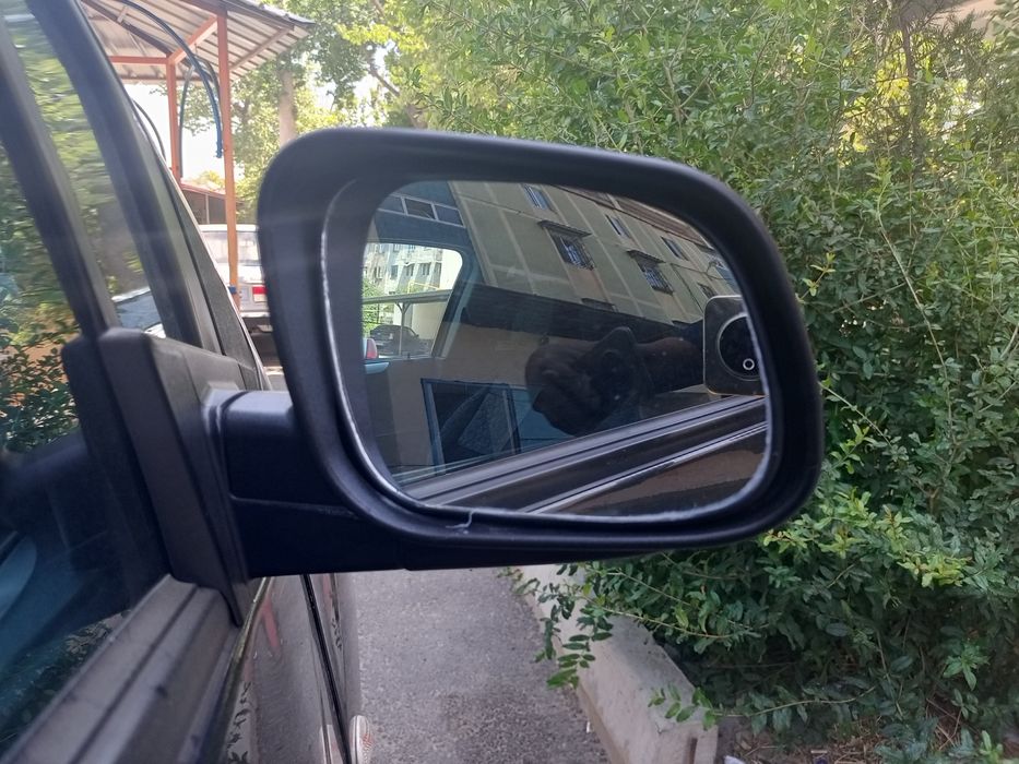 Бакавой ойна ясаймиз