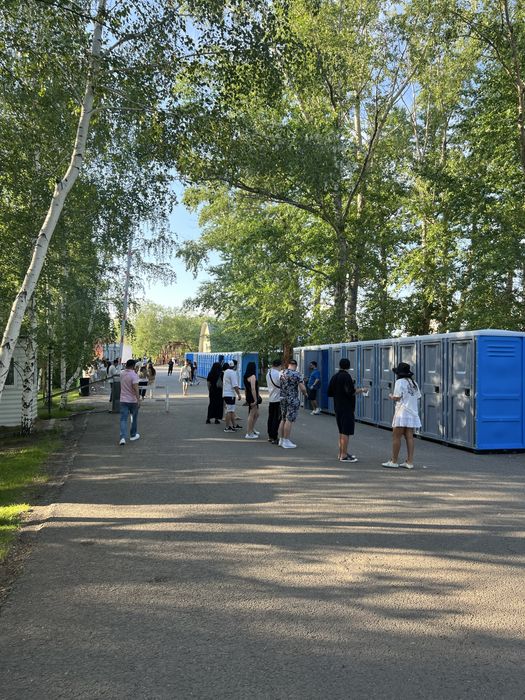 Биотуалет ( 250л )