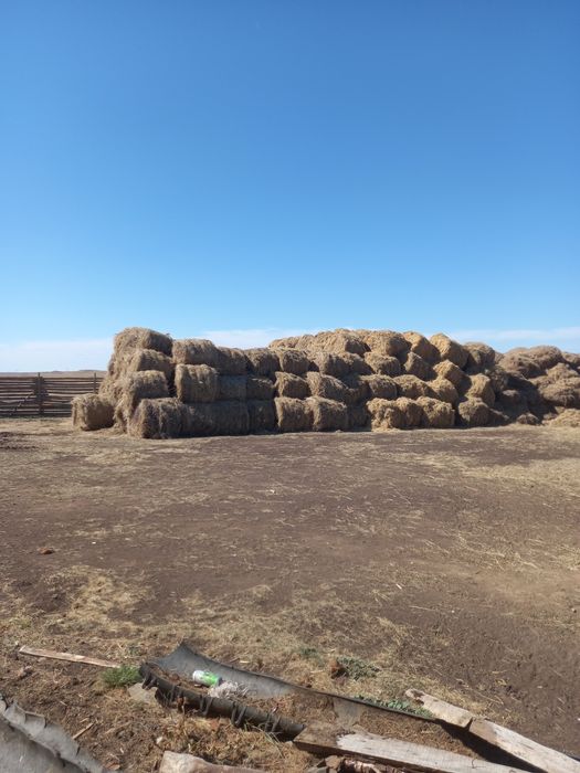 Продам крестьянской хозяйство